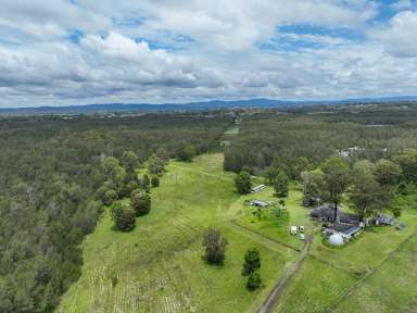 Farm For Sale - NSW - Cundletown - 2430 - Exclusive 371 Acre Riverfront Property  (Image 2)