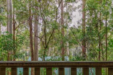 Farm Auction - NSW - Dungog - 2420 - Get Back to Nature  (Image 2)