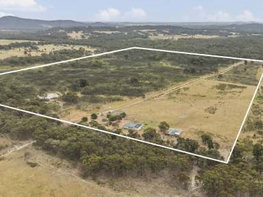 Farm For Sale - VIC - Hilldene - 3660 - 101 ACRES TO CREATE YOUR DREAM IN HILLDENE  (Image 2)