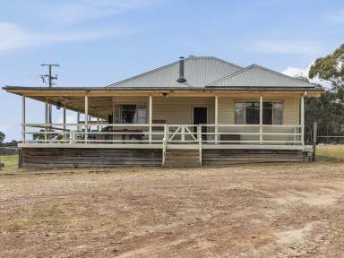 Farm For Sale - VIC - Hilldene - 3660 - 101 ACRES TO CREATE YOUR DREAM IN HILLDENE  (Image 2)