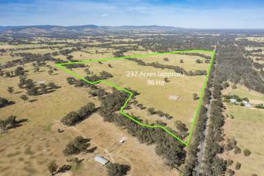 Farm For Sale - VIC - Baddaginnie - 3670 - Consider the possibilities afforded here  (Image 2)