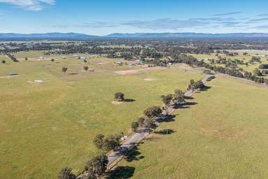 Farm For Sale - VIC - Benalla - 3672 - 25 acres on the outskirts of Town  (Image 2)