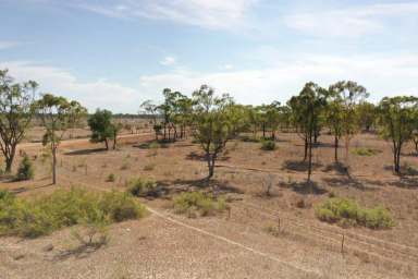 Farm For Sale - QLD - Breddan - 4820 - 40 Acres, Endless Water on the Annabranch  (Image 2)