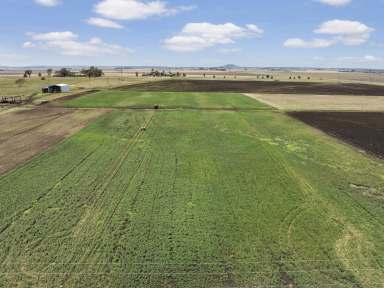 Farm For Sale - QLD - Clifton - 4361 - Central Downs Prime Agricultural Land with Water Licence, Fertile Soils & Rural Lifestyle Potential  (Image 2)