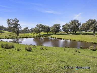 Farm For Sale - VIC - Homewood - 3717 - Large Acres Private Location  (Image 2)