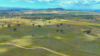 Farm For Sale - NSW - Quirindi - 2343 - "McLeish" 20 Callaghans Lane, QUIRINDI  (Image 2)