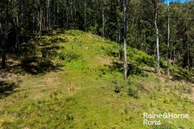 Farm For Sale - NSW - Kangaroo Valley - 2577 - Land, Precious Land  (Image 2)