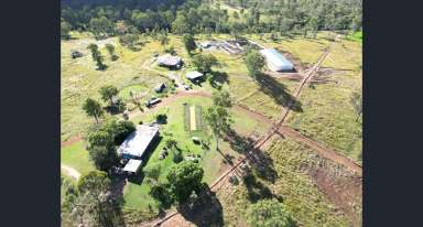 Farm For Sale - QLD - Windera - 4605 - Massive Price Reduction, Quality Irrigation Infastructure  (Image 2)