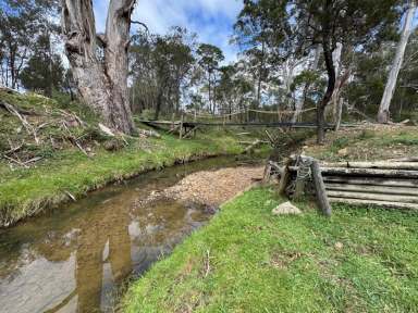 Farm For Sale - NSW - Bannaby - 2580 - Escape the hustle and bustle and immerse yourself in rural tranquility  (Image 2)