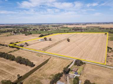 Farm For Sale - VIC - Wyuna - 3620 - Immaculate 80-Acre Horticultural Property with Premium Infrastructure and Family Home  (Image 2)