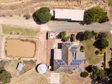 Farm For Sale - VIC - Wyuna - 3620 - Immaculate 80-Acre Horticultural Property with Premium Infrastructure and Family Home  (Image 2)