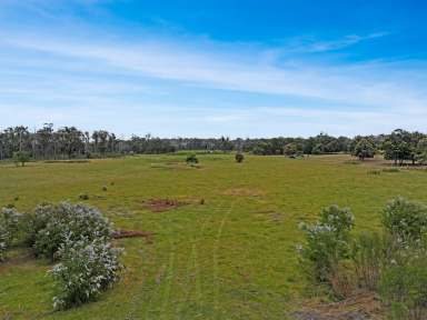 Farm For Sale - VIC - Stradbroke - 3851 - 100 acre mixed bush and pasture with potential for home  (Image 2)