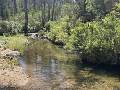 Farm For Sale - NSW - Wyndham - 2550 - STUNNING BUSH BLOCK  (Image 2)