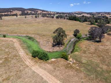 Farm For Sale - NSW - Dalton - 2581 - OPPORTUNITY KNOCKS!  (Image 2)