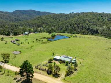 Farm For Sale - NSW - Burragate - 2550 - RIVER FRONTAGE, TWO DWELLINGS  (Image 2)