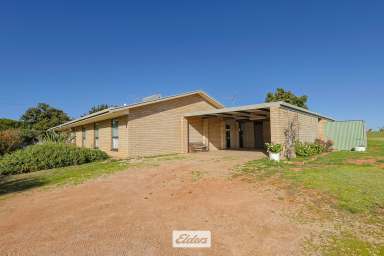 Farm For Sale - VIC - Irymple - 3498 - Over an Acre In Irymple!!  (Image 2)