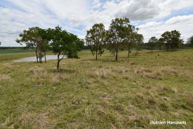 Farm For Sale - QLD - McIlwraith - 4671 - Excellent Lifestyle Block with Great Views!!  (Image 2)