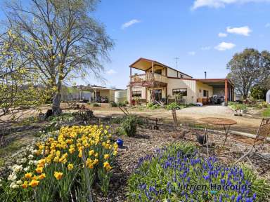 Farm For Sale - VIC - Merton - 3715 - "MERTONDALE"  (Image 2)