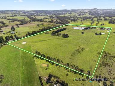 Farm For Sale - VIC - Merton - 3715 - "MERTONDALE"  (Image 2)