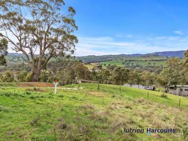 Farm For Sale - VIC - Yea - 3717 - Best Views In Town  (Image 2)