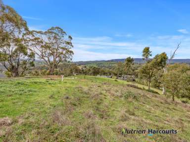 Farm For Sale - VIC - Yea - 3717 - Best Views In Town  (Image 2)