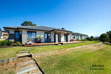 Farm For Sale - VIC - Yea - 3717 - Modern Australian Dream  (Image 2)