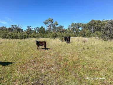 Farm For Sale - NSW - Bundarra - 2359 - GIWANGA - GRAZING PROPERTY  (Image 2)