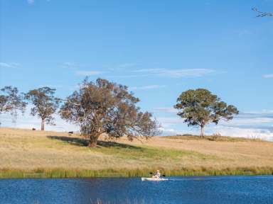 Farm Auction - NSW - Yass - 2582 - The Ultimate Lifestyle - With Income!  (Image 2)