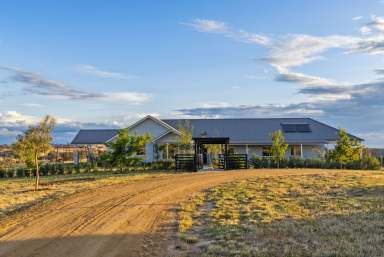 Farm For Sale - NSW - Yass - 2582 - The Ultimate Lifestyle - With Income!  (Image 2)