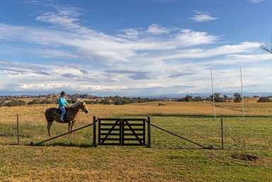 Farm Auction - NSW - Yass - 2582 - The Ultimate Lifestyle - With Income!  (Image 2)