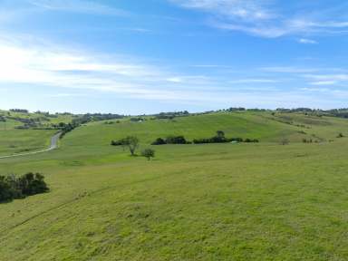 Farm For Sale - NSW - Jerrara - 2533 - 'Craig View' - Exceptional Land with Scenic Views and Lifestyle Potential in Jamberoo Valley  (Image 2)