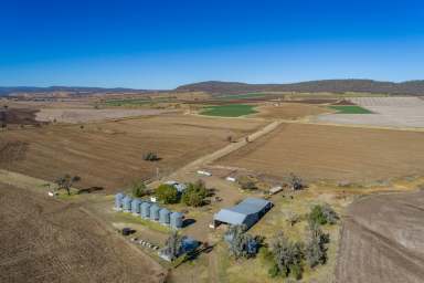 Farm Sold - QLD - Pilton - 4361 - Pilton's Finest Country - Irrigation - Feedlot - 616* acres -  Top Lifestyle!  (Image 2)