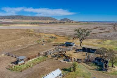 Farm Sold - QLD - Pilton - 4361 - Pilton's Finest Country - Irrigation - Feedlot - 616* acres -  Top Lifestyle!  (Image 2)