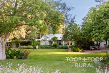 Farm For Sale - SA - Tanunda - 5352 - Rare Barossa Property Opportunity  (Image 2)