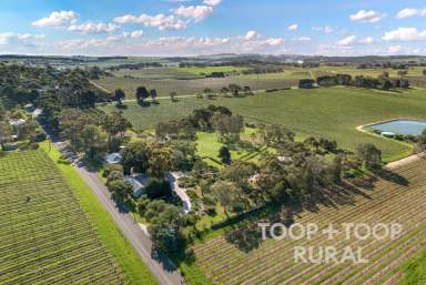 Farm For Sale - SA - Tanunda - 5352 - Rare Barossa Property Opportunity  (Image 2)