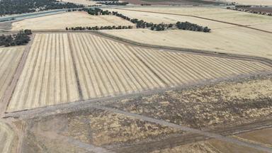 1354 Main Canal Road, Coleambally NSW 2707