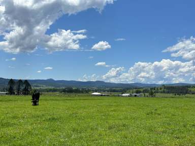 Farm For Sale - NSW - Old Bonalbo - 2469 - "OAK-LEA FARM" - 300 BREEDER PROPERTY  (Image 2)