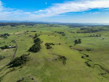 Farm For Sale - NSW - Jerrara - 2533 - 'Jerrara Meadow' - Stunning Vacant Land with Scenic Views and Building Potential in Jamberoo Valley  (Image 2)