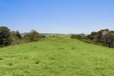 Farm For Sale - NSW - Jerrara - 2533 - 'Jerrara Meadow' - Stunning Vacant Land with Scenic Views and Building Potential in Jamberoo Valley  (Image 2)