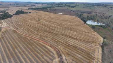 Farm For Sale - NSW - Warialda - 2402 - Postmans, Warialda  (Image 2)