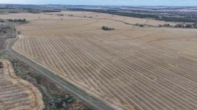 Farm For Sale - NSW - Warialda - 2402 - Postmans, Warialda  (Image 2)