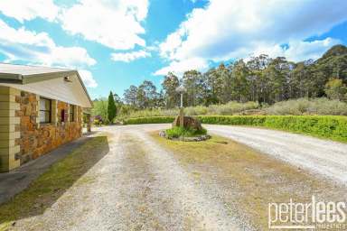 Farm For Sale - TAS - Turners Marsh - 7267 - Your Private Oasis Awaits – Spacious Land & Cozy Home  (Image 2)