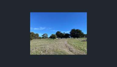 Farm For Sale - VIC - Happy Valley - 3360 - Happy Valley, Your New Address  (Image 2)