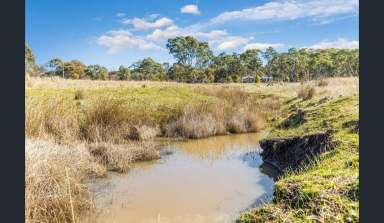 Farm For Sale - VIC - Clunes - 3370 - On a Clear Day, You Can See Forever  (Image 2)