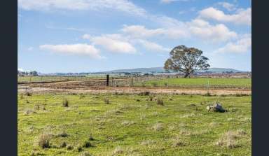 Farm For Sale - VIC - Clunes - 3370 - On a Clear Day, You Can See Forever  (Image 2)