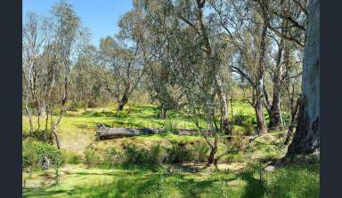 Farm For Sale - VIC - Heathcote - 3523 - Heathcote Seventy Acres  (Image 2)