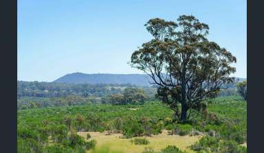 Farm For Sale - VIC - Heathcote - 3523 - Heathcote Seventy Acres  (Image 2)