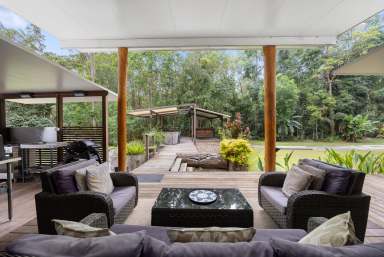 Farm For Sale - QLD - Cootharaba - 4565 - Rainforest Retreat in the Noosa Hinterland  (Image 2)