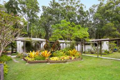 Farm For Sale - QLD - Cootharaba - 4565 - Rainforest Retreat in the Noosa Hinterland  (Image 2)