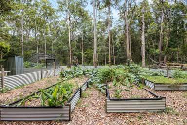 Farm For Sale - QLD - Cootharaba - 4565 - Rainforest Retreat in the Noosa Hinterland  (Image 2)